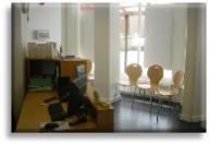 Just Cats Veterinary Clinic Reception Area.JPG